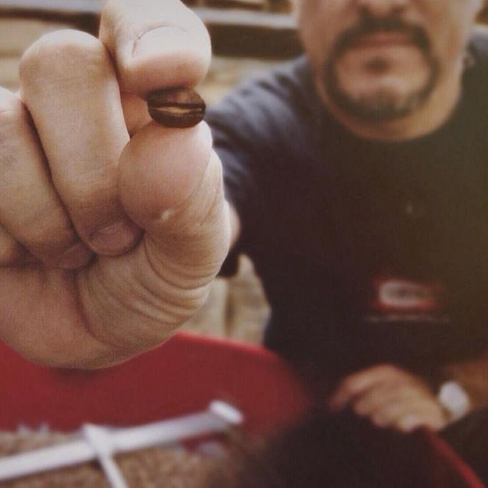 Roaster holding a coffee bean.