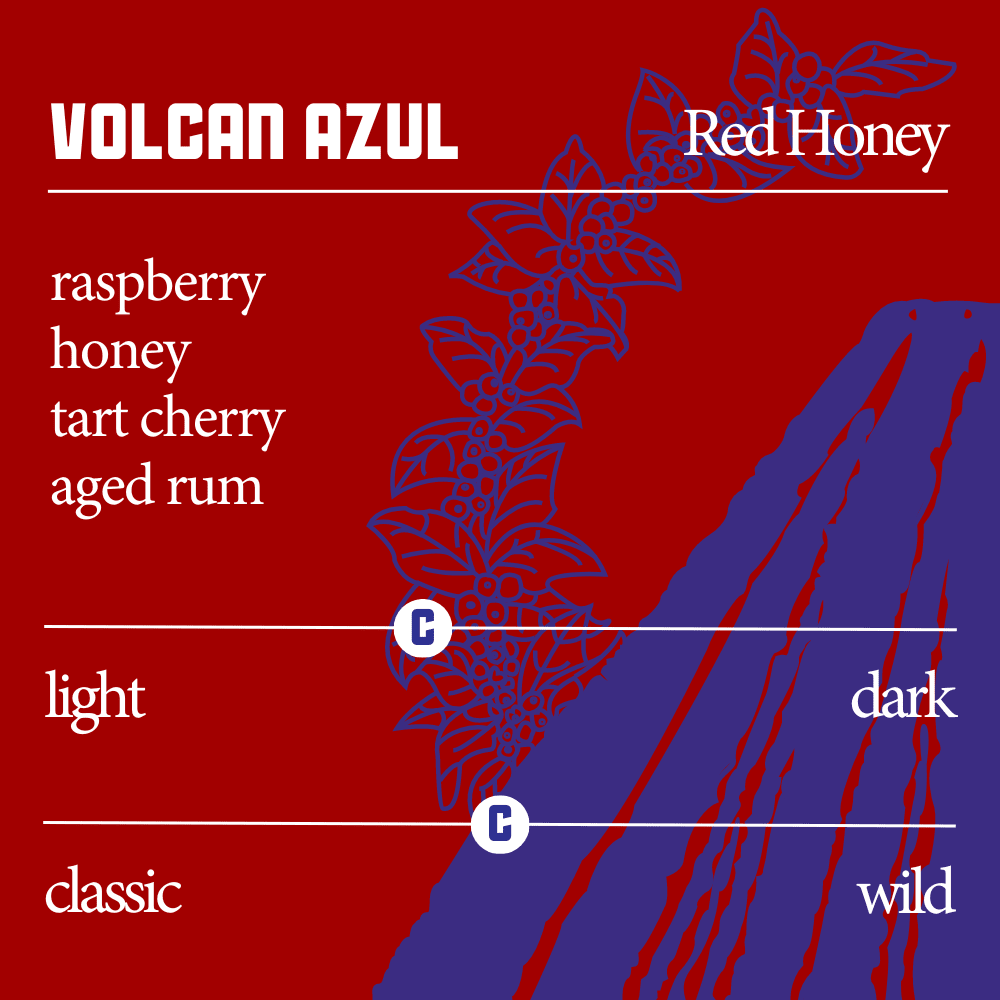 Costa Rica Red Honey Retail Beans Cortez Coffee