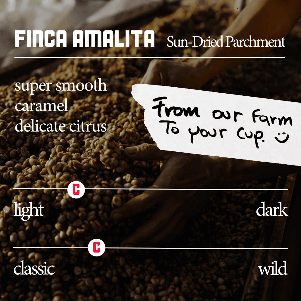 Finca Amalita Sun Dried Parchment Retail Beans Cortez Coffee 