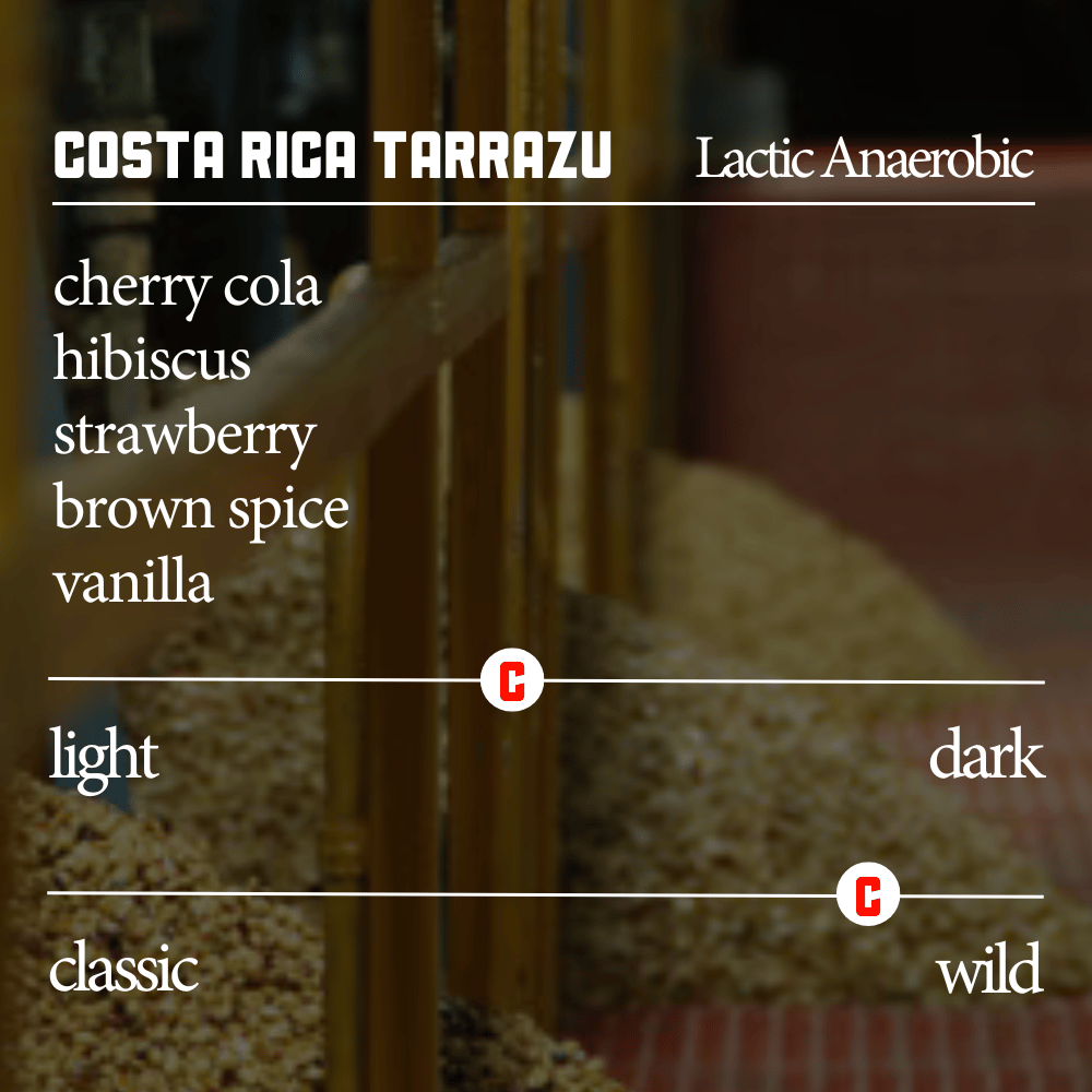 Costa Rica Tarrazu Lactic Anaerobic