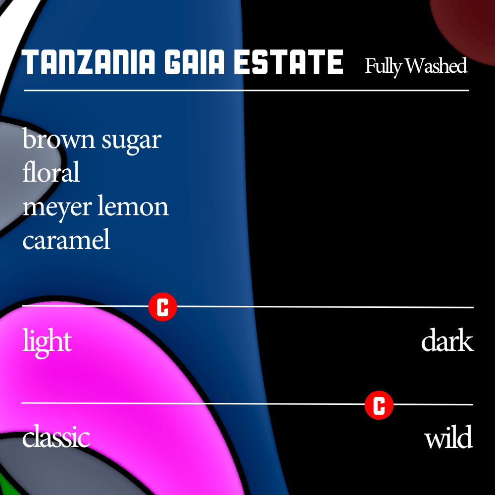 Tanzania Gaia Estate